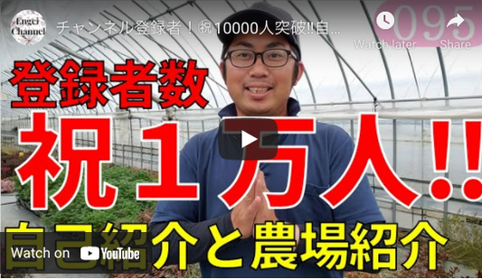 【YouTuber 紹介】オランダ研修:村岡佑基さん(ユウキの園芸ch)