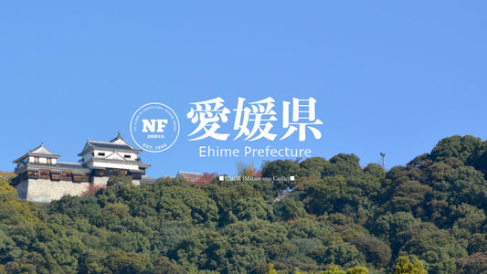 【愛媛県】えひめ国農連ネットワーク会議 月例会 オンライン開催(2023.03.16)