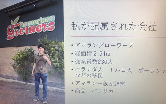 【愛媛県】令和4年度 愛媛県国際農業者交流協議会 営農研究会:「海外留学で学んだ事」越智祥大氏(オランダ・野菜専攻)