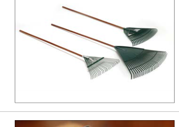 rake